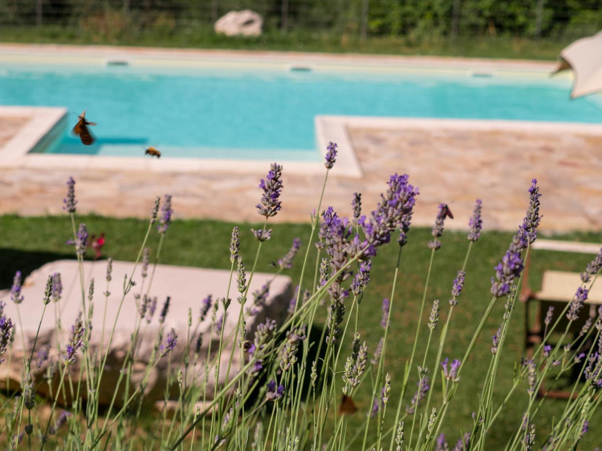 Lacelletta Country House Urbino Exterior photo